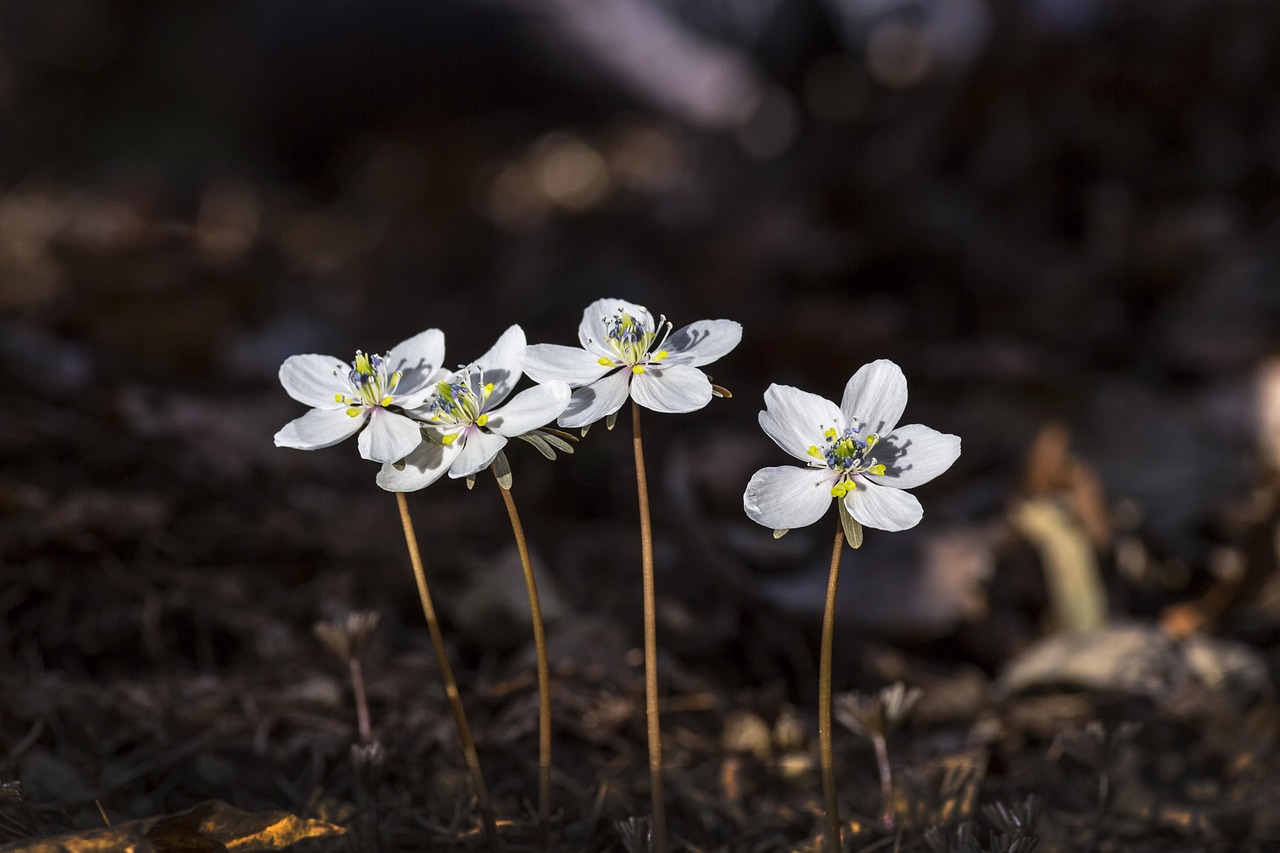 성남 수정구 이혼전문변호사 무료상담 추천 Top. 재산분할/상간소송/외도/위자료/양육비/친권/국제결혼이혼