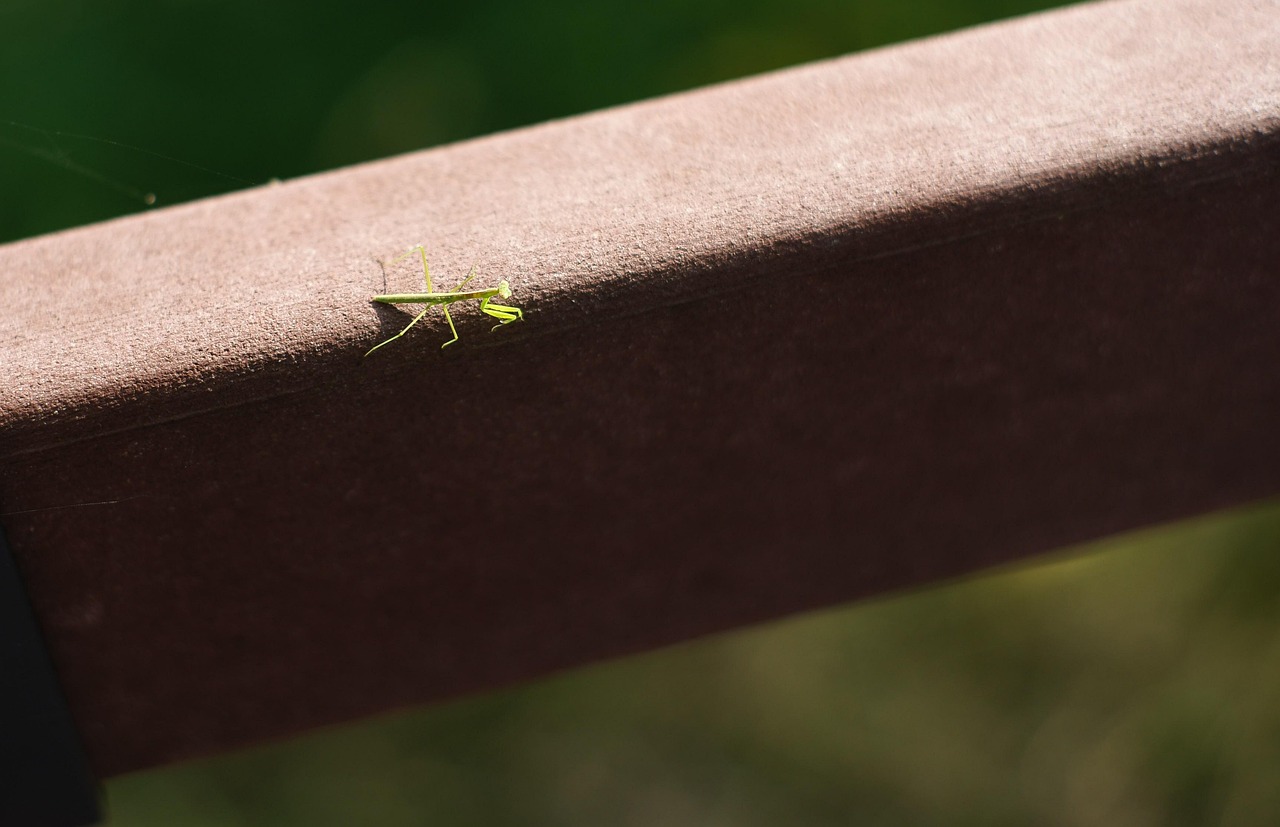 경주 이혼전문변호사 무료상담 추천 Top. 재산분할/상간소송/외도/위자료/양육비/친권/국제결혼이혼